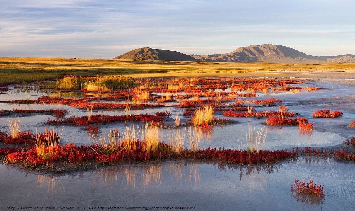 Mamutí step - rezervace Ubsunur