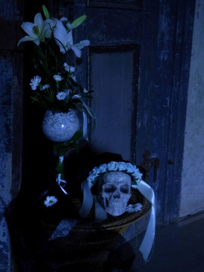 6.5.2017 Večer na zámku při svíčkách a se strašidl