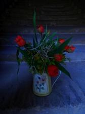 6.5.2017 Večer na zámku při svíčkách a se strašidl