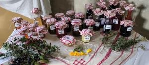 Bylinky a historické léky