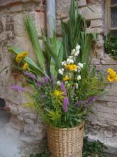 9.8.2020 Koncert souboru historické hudby FRAGIUM1